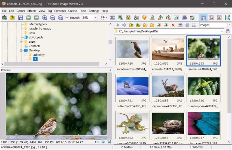 FastStone Image Viewer