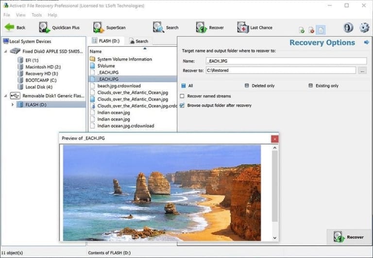 Active File Recovery dialog