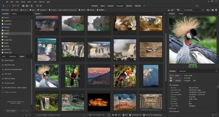 Adobe Bridge 2021 Screenshot