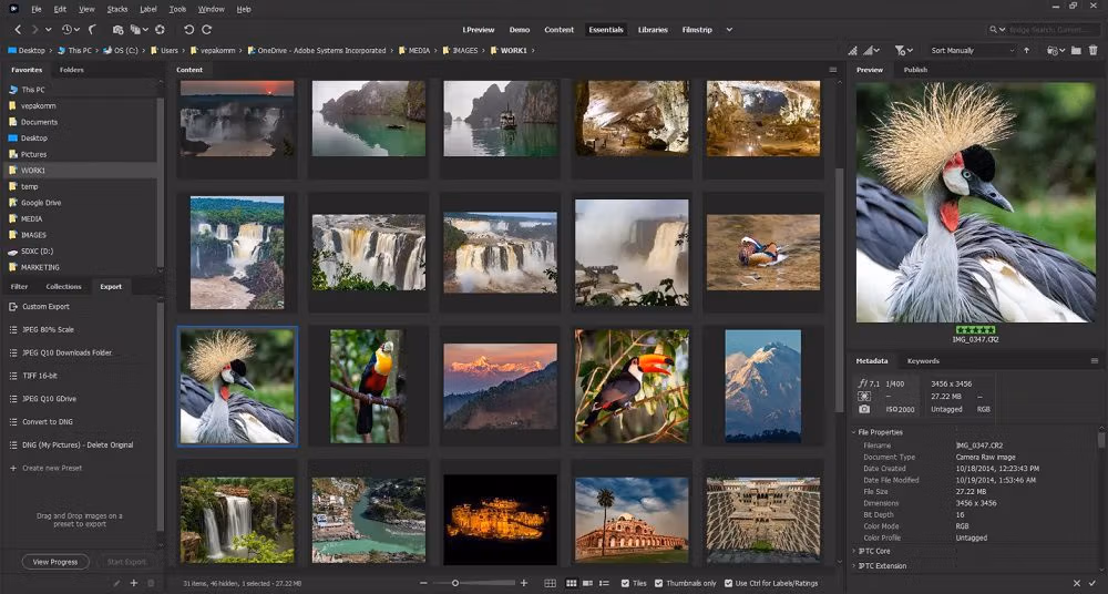 Adobe Bridge 2021 Screenshot
