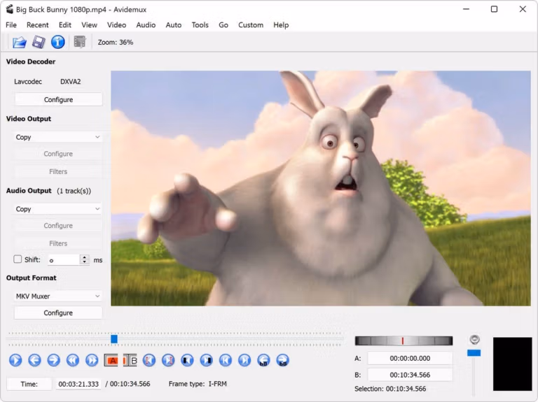 avidemux screenshot1