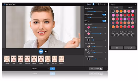 CyberLink PerfectCam AR appearance
