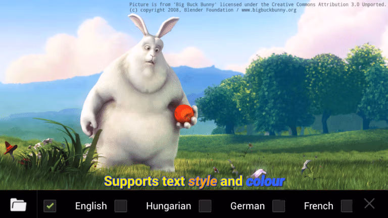 Subtitle selecting