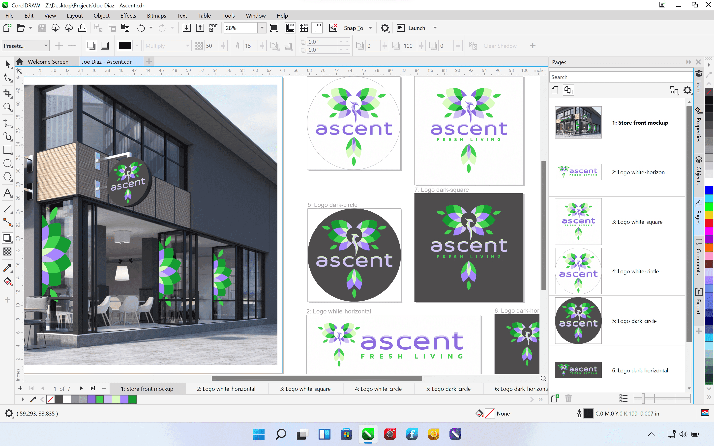 CorelDRAWWindows-Multipage-View
