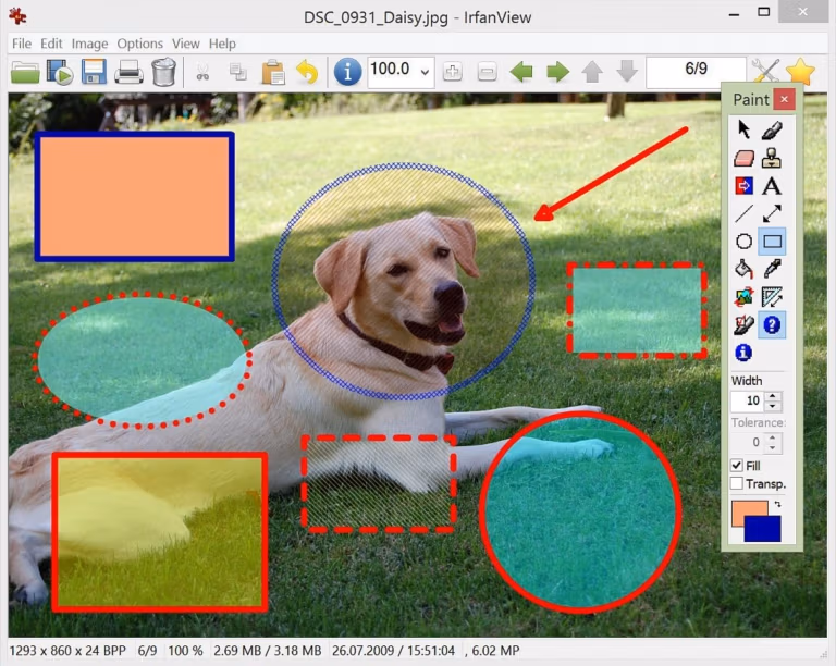 irfanview paint plugin