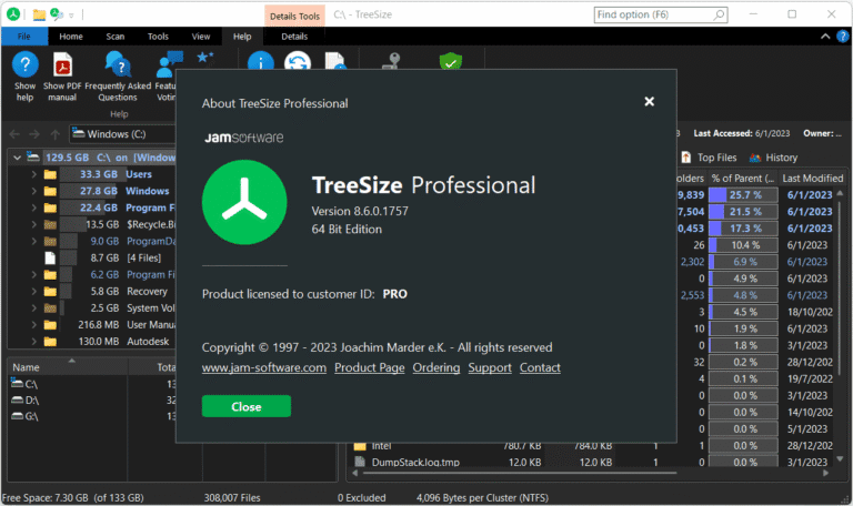 TreeSize Pro Screenshot
