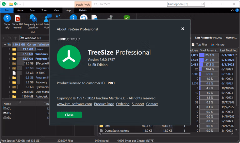TreeSize Pro Screenshot