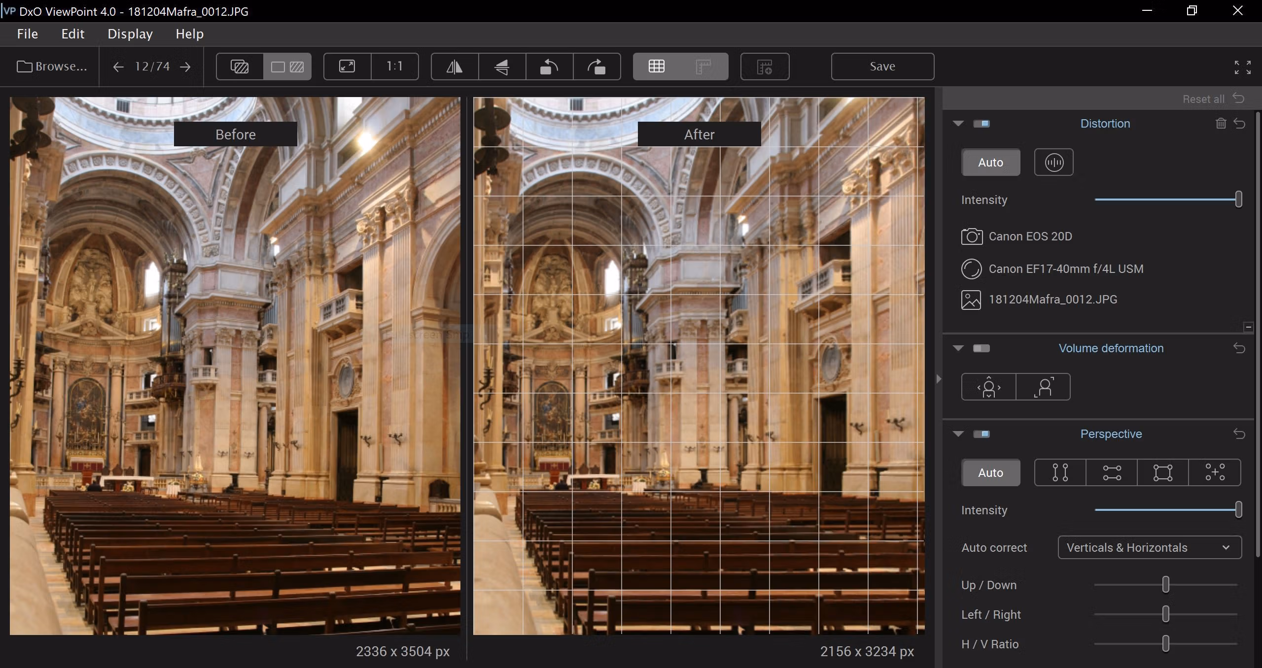 dxoviewpoint interface vertical lines