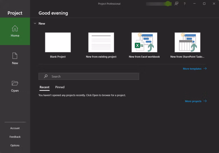 Microsoft Project 2021 screenshot
