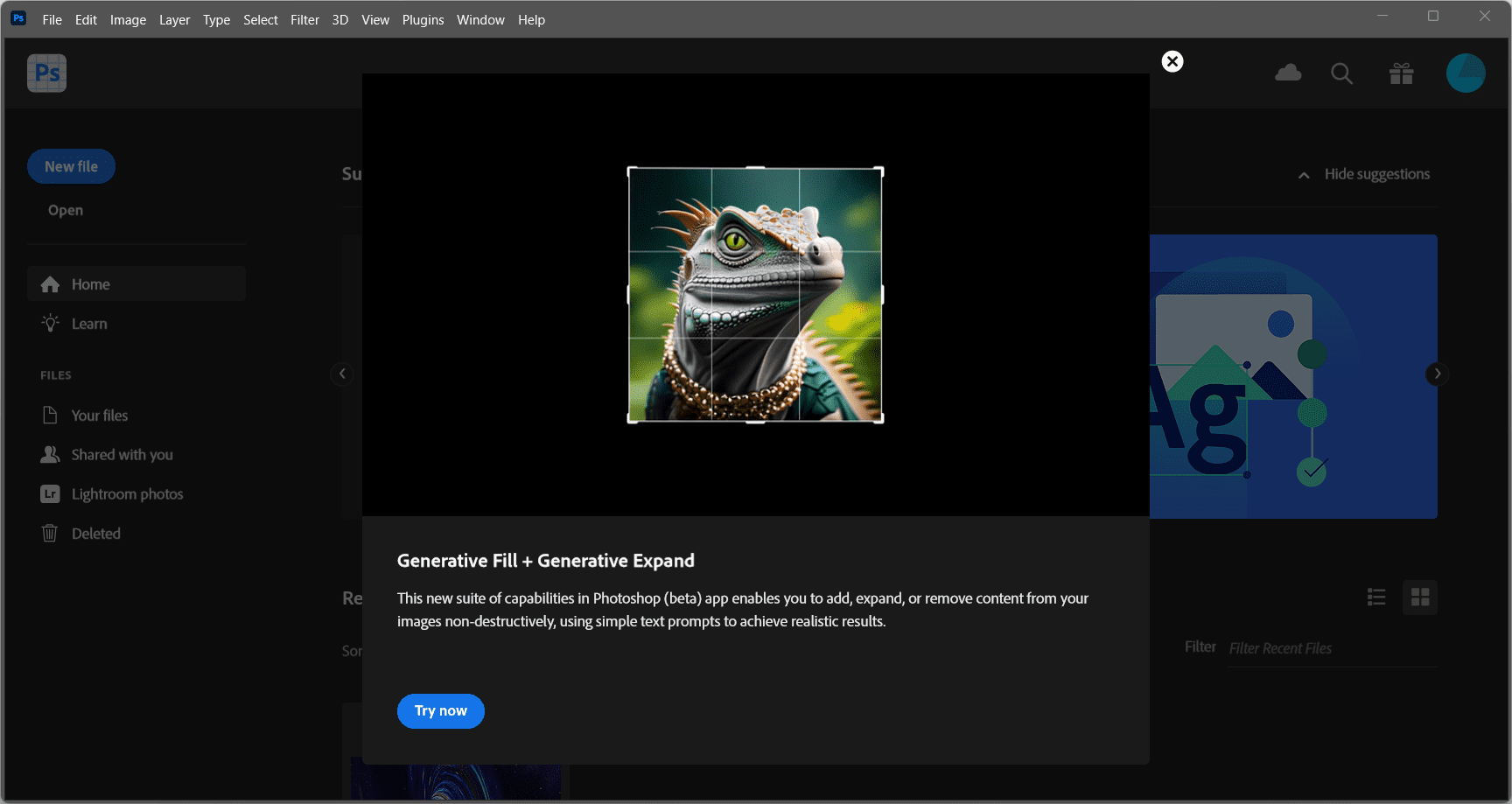 Adobe Photoshop 2024 Screenshot