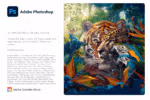 Adobe Photoshop 2024 Splash Screen