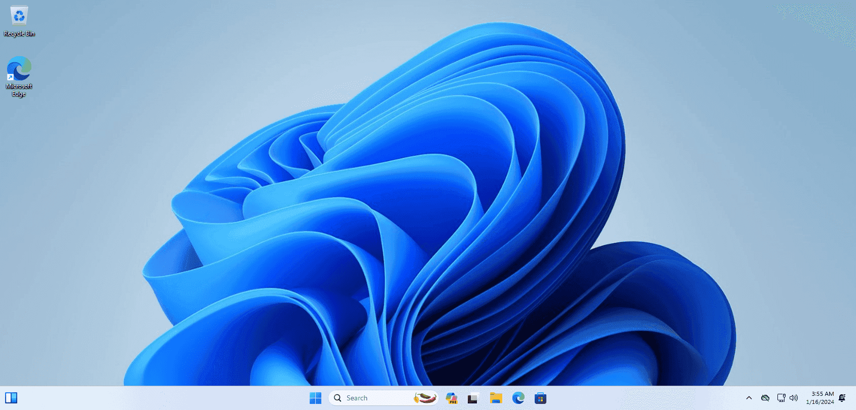 Windows 11 Pro Screenshot