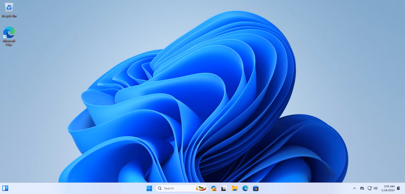 Windows 11 Pro Screenshot