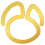 Navicat 16 icon