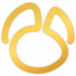 Navicat 16 icon