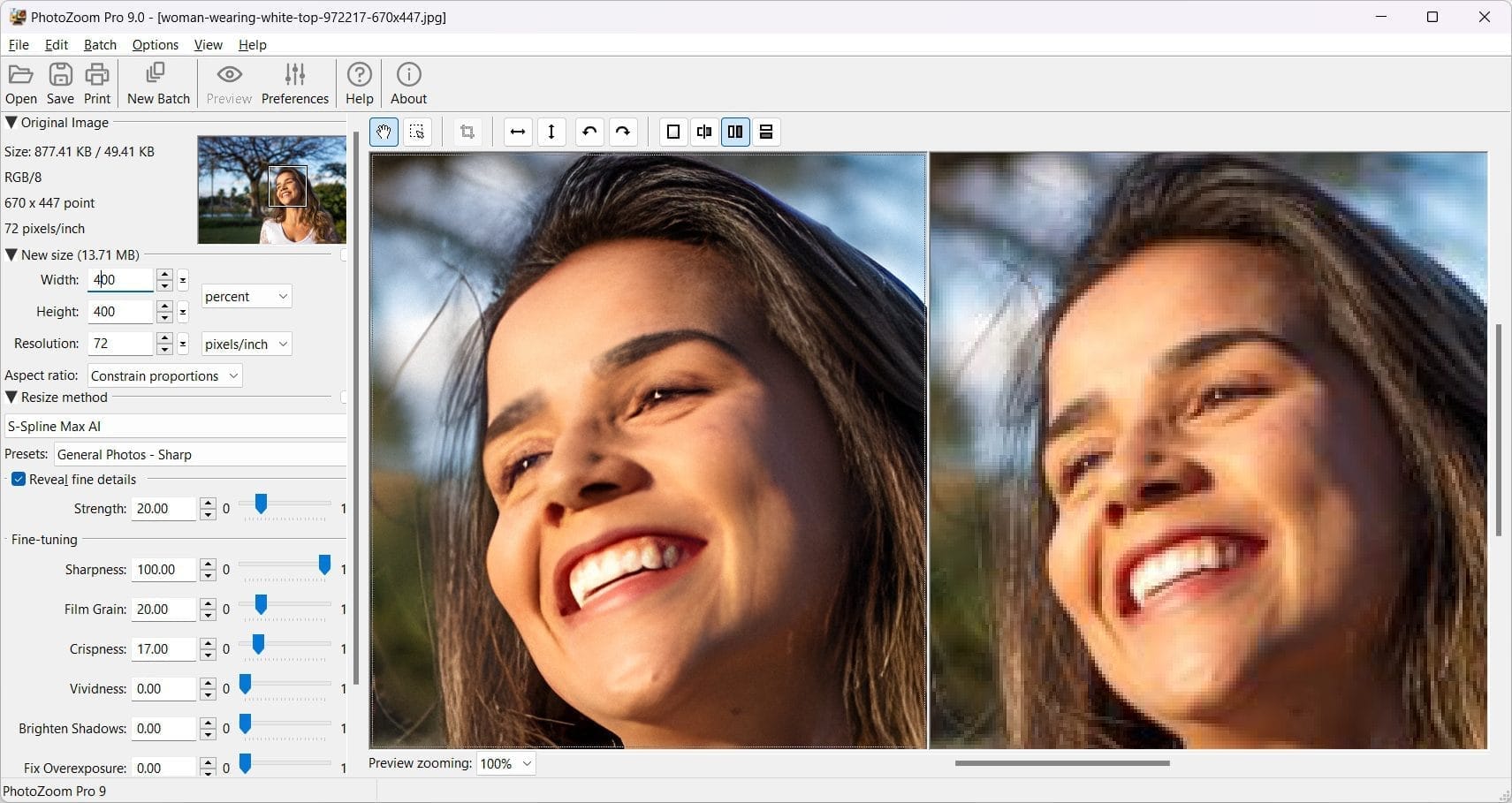 PhotoZoom Pro 9 Screenshot