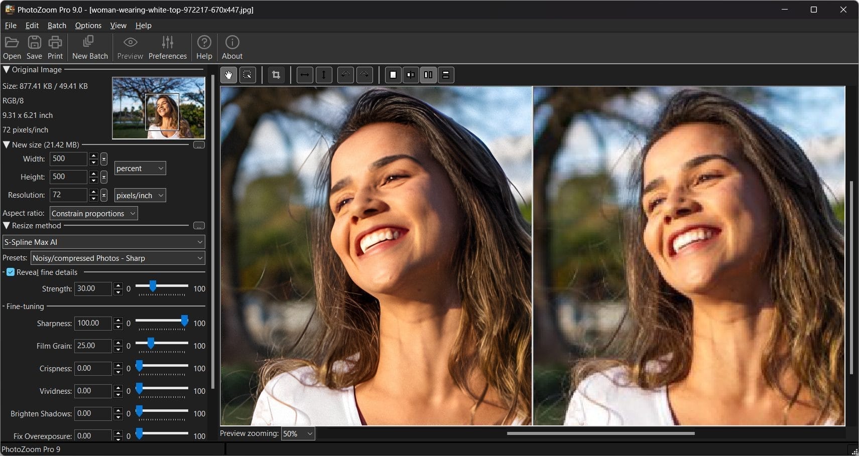 PhotoZoom Pro 9 Darkmode