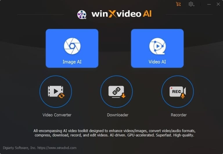 Winxvideo AI interface