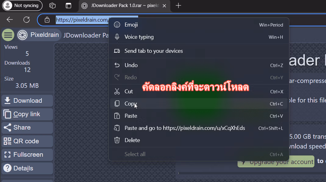 Copy download url