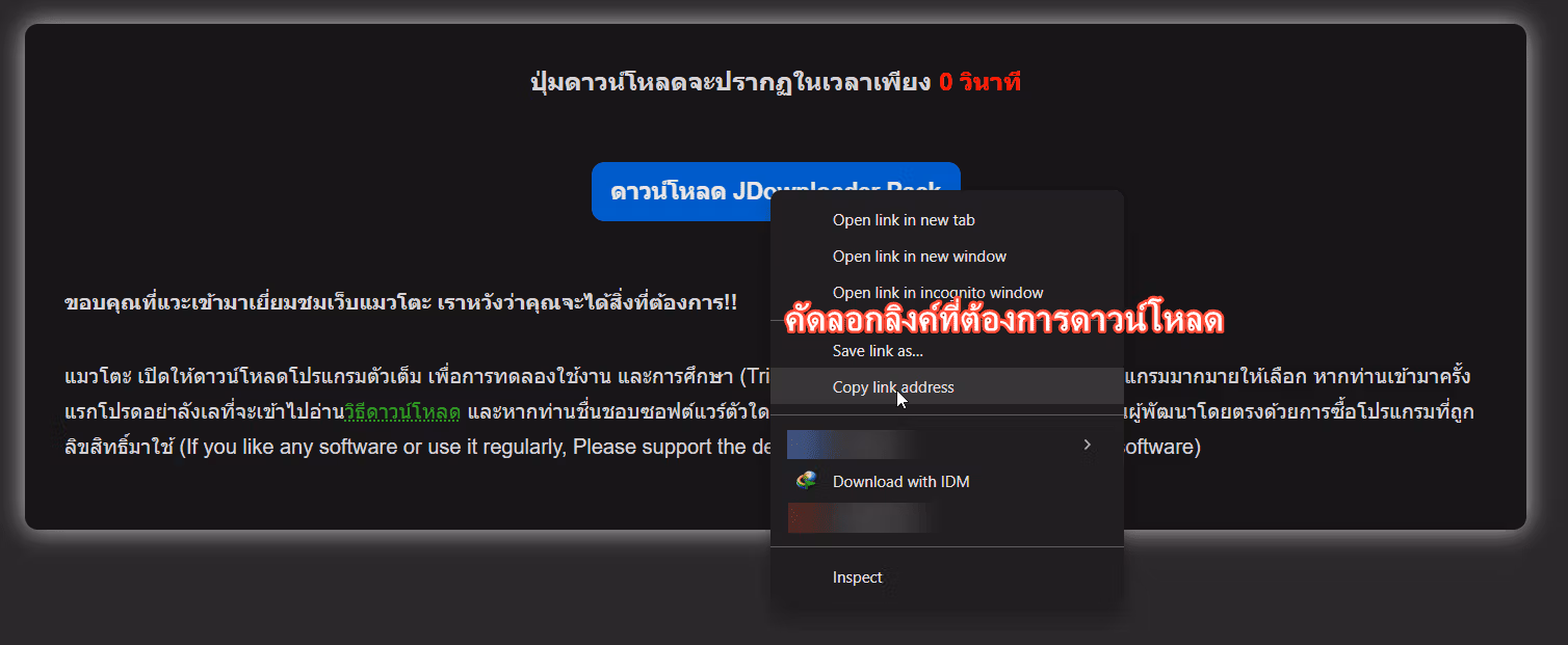 Copy download link