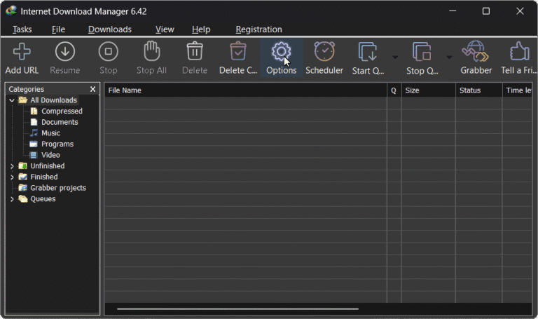 IDM Options
