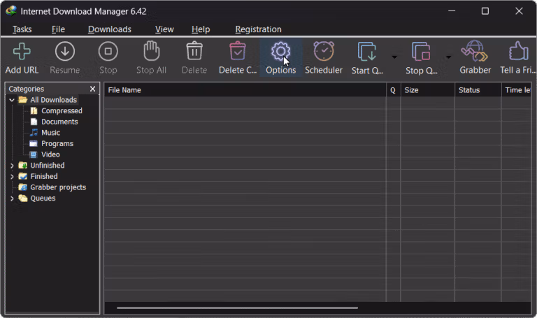 IDM Options