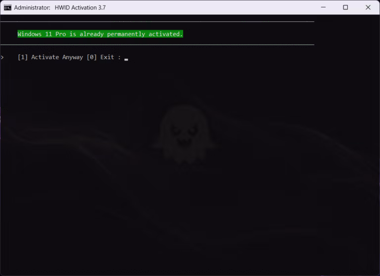 HWID Activation Screenshot 2