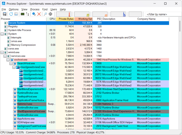 Process Explorer Screenshot