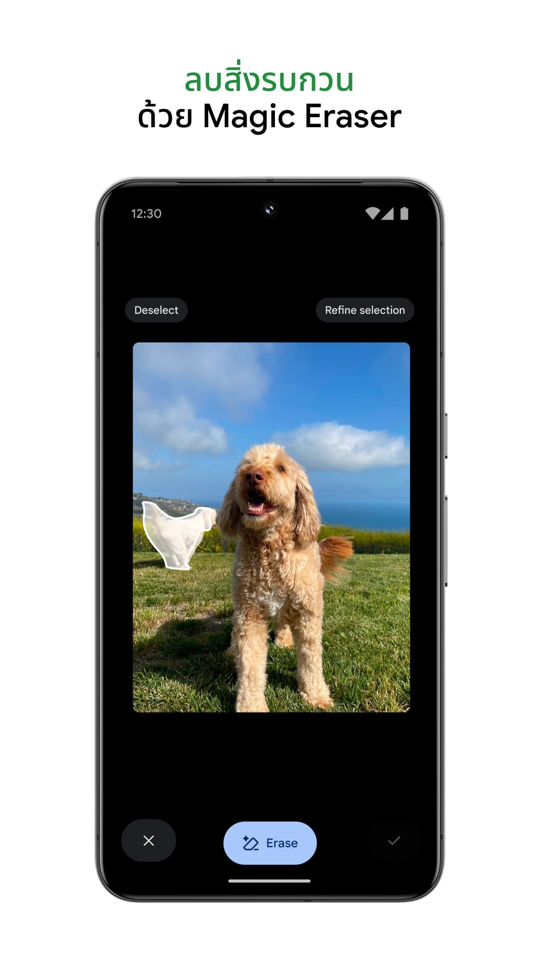 Google Photos Search and Collections